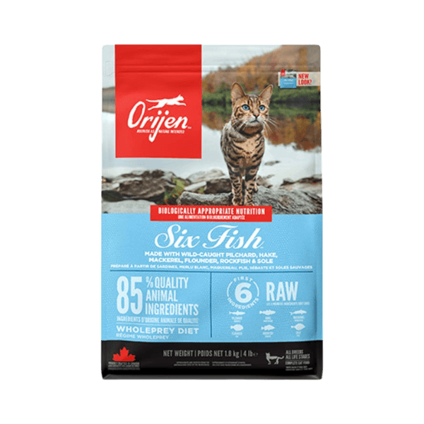 식스 피쉬 캣