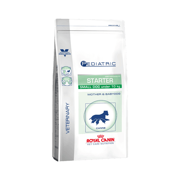 스타터 스몰 독