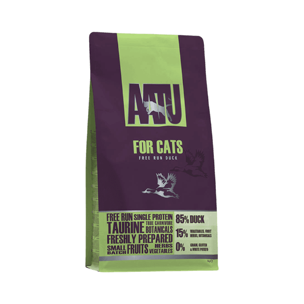 캣 오리